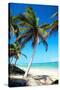Tropical Beach with Beautiful Palms and White Sand-pashapixel-Stretched Canvas