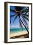 Tropical Beach with Beautiful Palms and White Sand-pashapixel-Framed Premium Photographic Print