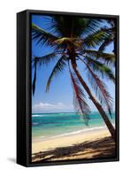 Tropical Beach with Beautiful Palms and White Sand-pashapixel-Framed Stretched Canvas