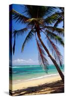 Tropical Beach with Beautiful Palms and White Sand-pashapixel-Stretched Canvas