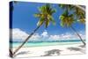 Tropical Beach with Beautiful Palms and White Sand-pashapixel-Stretched Canvas