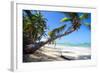 Tropical Beach with Beautiful Palms and White Sand-pashapixel-Framed Photographic Print