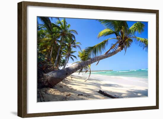 Tropical Beach with Beautiful Palms and White Sand-pashapixel-Framed Photographic Print