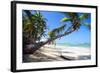 Tropical Beach with Beautiful Palms and White Sand-pashapixel-Framed Photographic Print