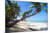 Tropical Beach with Beautiful Palms and White Sand-pashapixel-Mounted Photographic Print