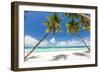 Tropical Beach with Beautiful Palms and White Sand-pashapixel-Framed Photographic Print