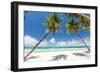 Tropical Beach with Beautiful Palms and White Sand-pashapixel-Framed Photographic Print