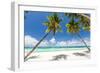 Tropical Beach with Beautiful Palms and White Sand-pashapixel-Framed Photographic Print