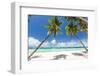 Tropical Beach with Beautiful Palms and White Sand-pashapixel-Framed Photographic Print