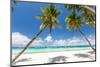 Tropical Beach with Beautiful Palms and White Sand-pashapixel-Mounted Photographic Print