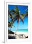 Tropical Beach with Beautiful Palms and White Sand-pashapixel-Framed Photographic Print