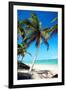 Tropical Beach with Beautiful Palms and White Sand-pashapixel-Framed Photographic Print