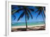 Tropical Beach with Beautiful Palms and White Sand-pashapixel-Framed Photographic Print