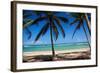 Tropical Beach with Beautiful Palms and White Sand-pashapixel-Framed Photographic Print