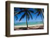 Tropical Beach with Beautiful Palms and White Sand-pashapixel-Framed Photographic Print