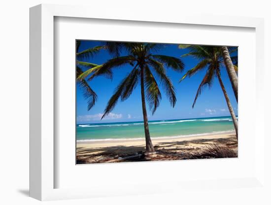 Tropical Beach with Beautiful Palms and White Sand-pashapixel-Framed Photographic Print