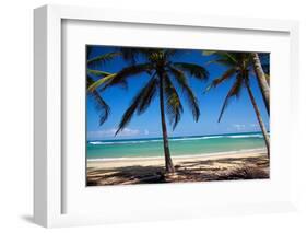 Tropical Beach with Beautiful Palms and White Sand-pashapixel-Framed Photographic Print