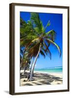 Tropical Beach with Beautiful Palms and White Sand-pashapixel-Framed Photographic Print
