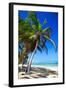 Tropical Beach with Beautiful Palms and White Sand-pashapixel-Framed Photographic Print