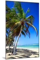 Tropical Beach with Beautiful Palms and White Sand-pashapixel-Mounted Photographic Print