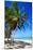 Tropical Beach with Beautiful Palms and White Sand-pashapixel-Mounted Photographic Print