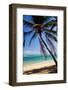 Tropical Beach with Beautiful Palms and White Sand-pashapixel-Framed Photographic Print