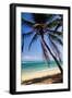 Tropical Beach with Beautiful Palms and White Sand-pashapixel-Framed Photographic Print