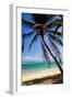 Tropical Beach with Beautiful Palms and White Sand-pashapixel-Framed Photographic Print