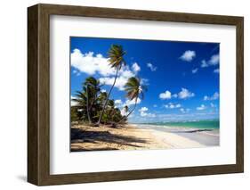 Tropical Beach with Beautiful Palms and White Sand-pashapixel-Framed Photographic Print