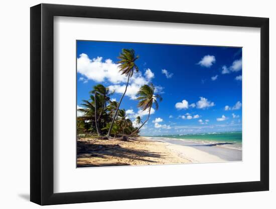 Tropical Beach with Beautiful Palms and White Sand-pashapixel-Framed Photographic Print