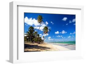 Tropical Beach with Beautiful Palms and White Sand-pashapixel-Framed Photographic Print