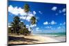 Tropical Beach with Beautiful Palms and White Sand-pashapixel-Mounted Photographic Print