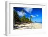 Tropical Beach with Beautiful Palms and White Sand-pashapixel-Framed Photographic Print