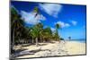 Tropical Beach with Beautiful Palms and White Sand-pashapixel-Mounted Photographic Print