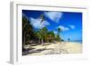 Tropical Beach with Beautiful Palms and White Sand-pashapixel-Framed Photographic Print