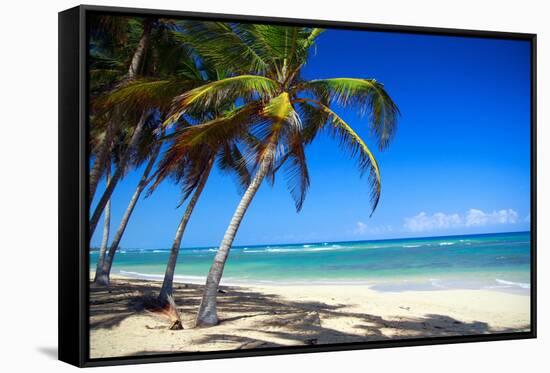 Tropical Beach with Beautiful Palms-pashapixel-Framed Stretched Canvas