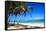 Tropical Beach with Beautiful Palms-pashapixel-Framed Stretched Canvas