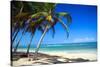 Tropical Beach with Beautiful Palms-pashapixel-Stretched Canvas
