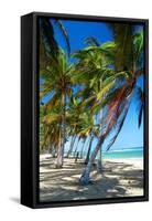 Tropical Beach with Beautiful Palms-pashapixel-Framed Stretched Canvas