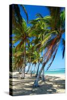 Tropical Beach with Beautiful Palms-pashapixel-Stretched Canvas