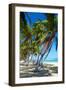 Tropical Beach with Beautiful Palms-pashapixel-Framed Photographic Print