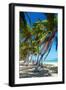 Tropical Beach with Beautiful Palms-pashapixel-Framed Photographic Print