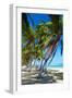 Tropical Beach with Beautiful Palms-pashapixel-Framed Photographic Print