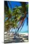 Tropical Beach with Beautiful Palms-pashapixel-Mounted Photographic Print