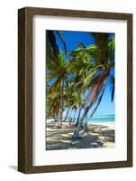 Tropical Beach with Beautiful Palms-pashapixel-Framed Photographic Print