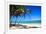 Tropical Beach with Beautiful Palms-pashapixel-Framed Photographic Print