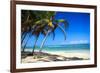 Tropical Beach with Beautiful Palms-pashapixel-Framed Photographic Print