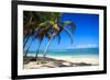 Tropical Beach with Beautiful Palms-pashapixel-Framed Photographic Print