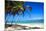 Tropical Beach with Beautiful Palms-pashapixel-Mounted Photographic Print