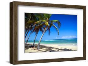 Tropical Beach with Beautiful Palms-pashapixel-Framed Photographic Print